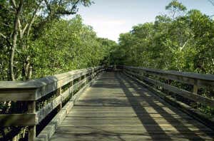 Naples Florida parks