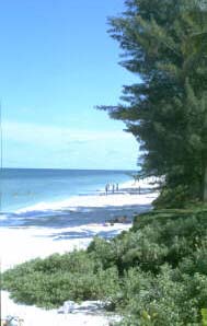 Naples Florida beaches