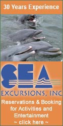 Sea Excursions Naples Florida